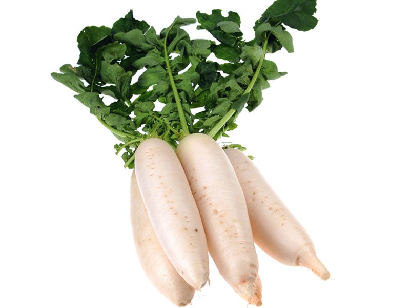 Daikon (Raphanus sativus var longipinnatus)
